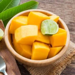 Alphonso Mango -Fast Growing Trees Shop Alphonso Mango 2 FGT