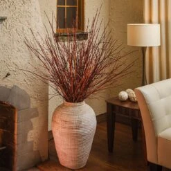 Arctic Fire® Red Twig Dogwood -Fast Growing Trees Shop Arctic Fire Twig Dogwood 6 FGT