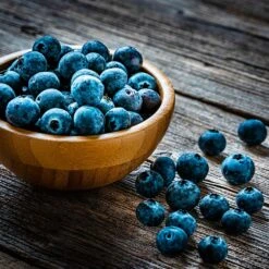 Aurora Blueberry Bush -Fast Growing Trees Shop Aurora Blueberry 4