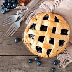 Aurora Blueberry Bush - USDA Organic -Fast Growing Trees Shop Aurora Blueberry 5 112457a4 3811 4866 87c8 269c657283bf