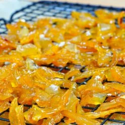 Buddha's Hand Citron -Fast Growing Trees Shop BUddhas Hand Citrus 5