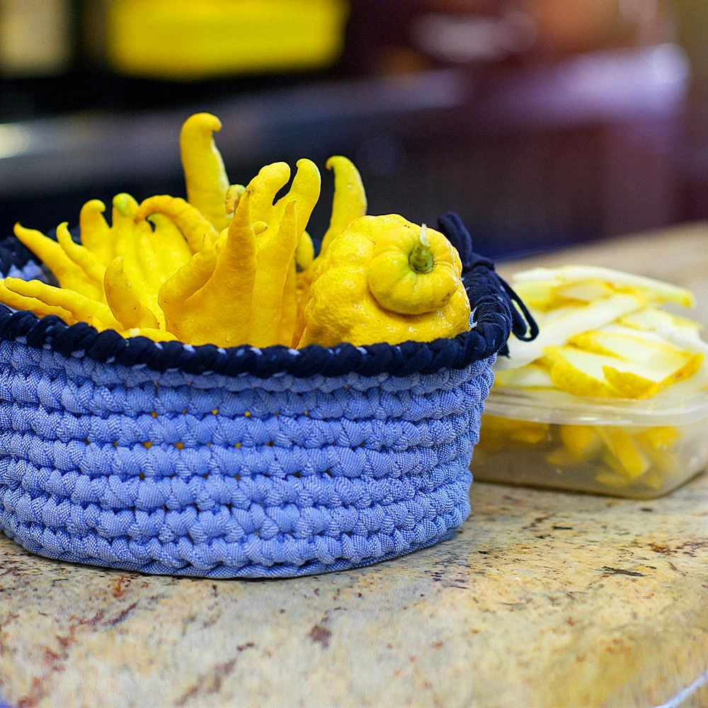 Buddha's Hand Citron Tree 4 Buddha's Hand Citron Tree - Image 4