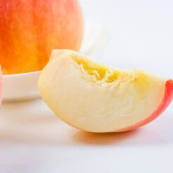 Belle Of Georgia Peach Tree 7 Belle Of Georgia Peach Tree -Fast Growing Trees Shop Belle of Georgia 3 ea75db8c 1c8e 47c4 9aac 3f7fe043655e