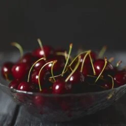 Black Tartarian Cherry Tree 8 Black Tartarian Cherry Tree -Fast Growing Trees Shop Black Tartarian Cherry Tree 2 FGT