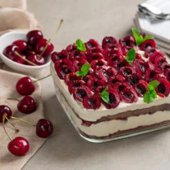 Brooks Cherry Tree 8 Brooks Cherry Tree -Fast Growing Trees Shop Brooks Cherry Tree 6 FGT