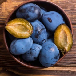 Brooks Plum Tree 9 Brooks Plum Tree -Fast Growing Trees Shop Brooks Plum 2