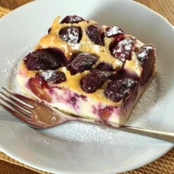 Burgundy Plum Tree -Fast Growing Trees Shop Burgundy Plum 3