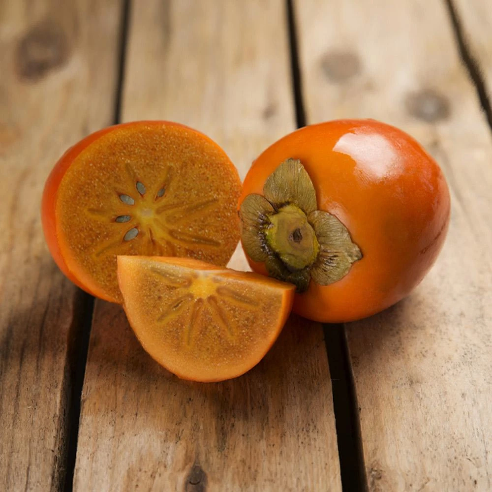 Chocolate Persimmon Tree 1 Chocolate Persimmon Tree