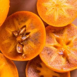 Chocolate Persimmon Tree 5 Chocolate Persimmon Tree -Fast Growing Trees Shop CHocolate Persimmon 2