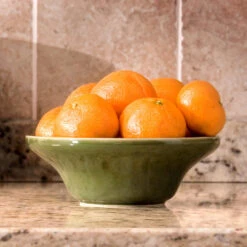 Calamondin Bush -Fast Growing Trees Shop Calamondin Bush 4