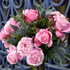 Cathedral Bells Rose -Fast Growing Trees Shop Cathedral Bells Rose Tree 2