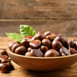 Chinese Chestnut Tree 9 Chinese Chestnut Tree -Fast Growing Trees Shop Chinese Chestnut 3 FGT