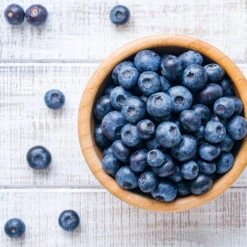 Climax Blueberry - USDA Organic -Fast Growing Trees Shop Climax Blueberry 4 6dff9fe5 d11c 4867 ac6f bf49cd37acb5