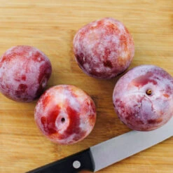 Dapple Dandy Pluot Tree -Fast Growing Trees Shop Dapple Dandy 2