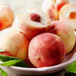 Early White Giant Peach Tree -Fast Growing Trees Shop Early White Giant Peach Tree 450 D1