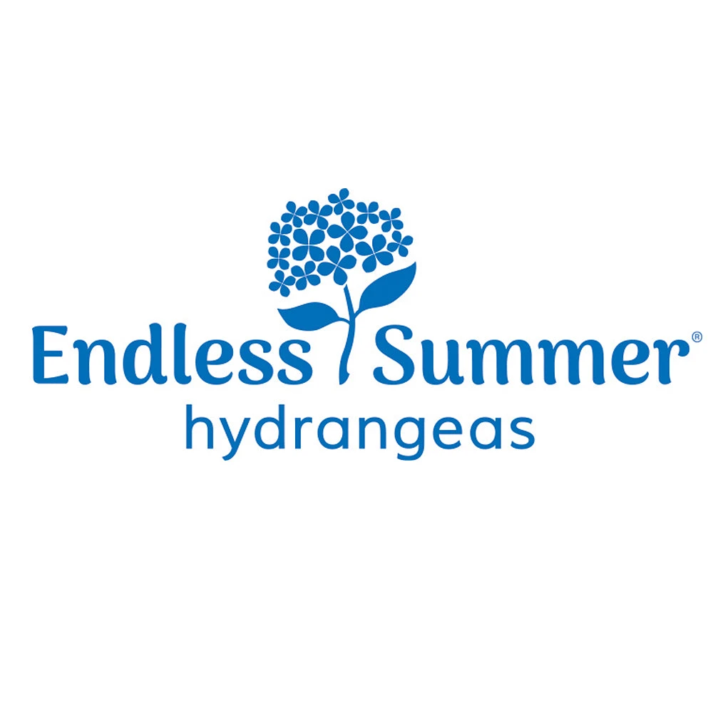 Endless Summer® Summer Crush® Hydrangea 7 Endless Summer® Summer Crush® Hydrangea - Image 7