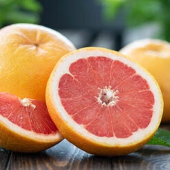 Flame Grapefruit Tree 5 Flame Grapefruit Tree -Fast Growing Trees Shop Flame Grapefruit 1
