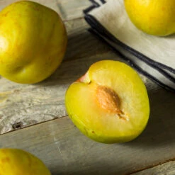 Flavor Queen Pluot® 7 Flavor Queen Pluot® -Fast Growing Trees Shop Flavor Queen Pluot 2