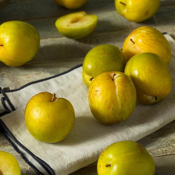 Flavor Queen Pluot® 1 Flavor Queen Pluot®