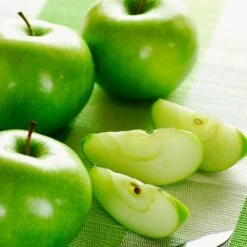 Granny Smith Apple Tree -Fast Growing Trees Shop Granny Smith Apple 2 91878d17 79d1 47a7 a5a0 55ace8d71d70