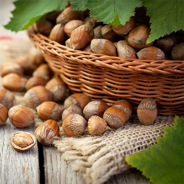 Hazelnut Pollinator Pack 1 Hazelnut Pollinator Pack