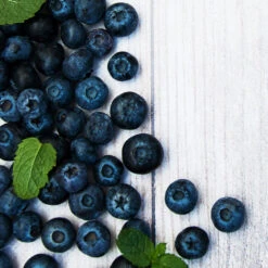 Jewel Blueberry Bush -Fast Growing Trees Shop Jewel Blueberry 2