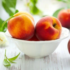 June Gold Peach Tree -Fast Growing Trees Shop June Gold peaches 4