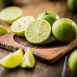 Key Lime Tree - USDA Organic 9 Key Lime Tree - USDA Organic -Fast Growing Trees Shop Key Lime Tree 5 FGT da9b0536 ead5 46ca b8b5 d82cfb777942