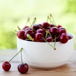 Lapins Cherry Tree -Fast Growing Trees Shop Lapins Cherry Tree 2 FGT 325a18e6 7143 4729 a41b b0d9614909b8