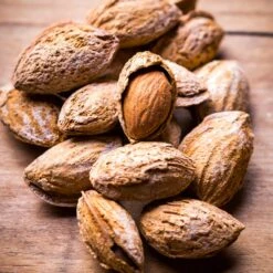 Nonpareil Almond Tree -Fast Growing Trees Shop Nonpareil Almonds 3