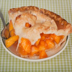 O'Henry Peach Tree -Fast Growing Trees Shop OHenry Peach 4