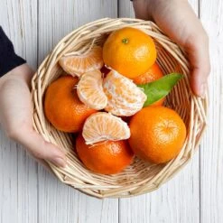 Page Mandarin Tree -Fast Growing Trees Shop Page Mandarin Tree 2 FGT