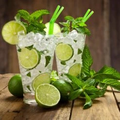 Persian 'Bearss' Lime Tree - USDA Organic 10 Persian 'Bearss' Lime Tree - USDA Organic -Fast Growing Trees Shop Persian Lime Tree 4 FGT 3e2376b1 dd45 4777 a1e5 8c0e252ea773