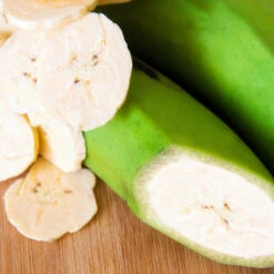 Puerto Rican Plantain Banana Tree 10 Puerto Rican Plantain Banana Tree -Fast Growing Trees Shop Puerto Rican Plantain Banana Tree 3