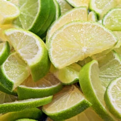 Persian 'Bearss' Lime Bush -Fast Growing Trees Shop Pursian Lime Bush 1 FGT 8e948345 4f0b 4e96 a96f a17b7b31b7ab