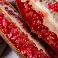 Red Finger Lime Tree -Fast Growing Trees Shop Red FInger Lime 1 1453b836 c1a1 4844 92f1 11e49d09cc4d