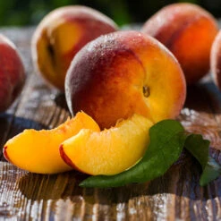 Red Baron Peach Tree 9 Red Baron Peach Tree -Fast Growing Trees Shop Red Baron Peach 4