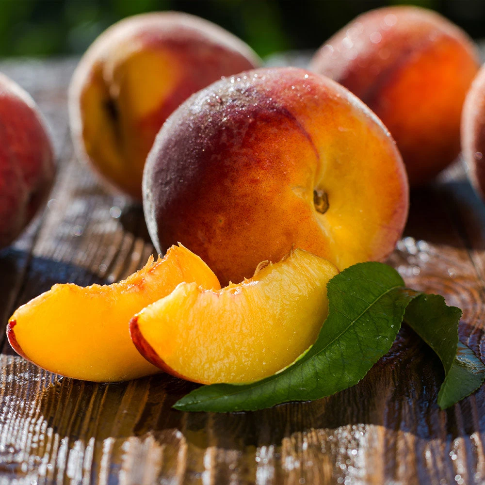 Red Baron Peach Tree 5 Red Baron Peach Tree - Image 5