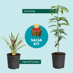 Salsa Kit -Fast Growing Trees Shop SalsaKitGraphic