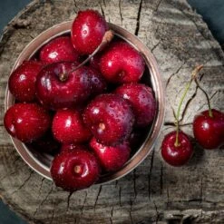 Santina™ Cherry Tree -Fast Growing Trees Shop Santina Cherry 1