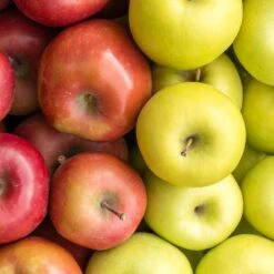 4-in-1 Apple Surprise Tree -Fast Growing Trees Shop Surprise Apple 1 fd4b319d eb68 4ca8 b9dc 6ed8dd5560c3