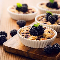 Thornless Blackberry -Fast Growing Trees Shop Thornless Blackberry 2