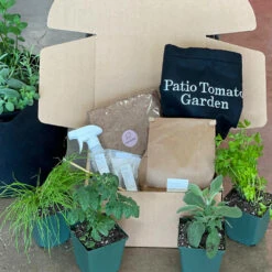 Patio Tomato Garden -Fast Growing Trees Shop Tomato Garden kit 2