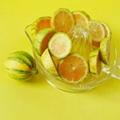 Pink Variegated Eureka Lemon Tree -Fast Growing Trees Shop Variegated Pink Eureka 3 fc1d5a93 7ca6 443b a4e9 221de3f12f84