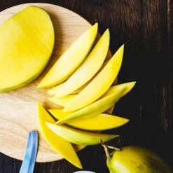 Condo Mango Tree -Fast Growing Trees Shop condo mango 7